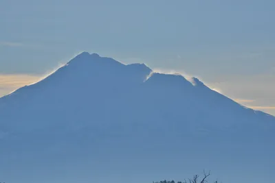 DSC_6023 (Large).JPG